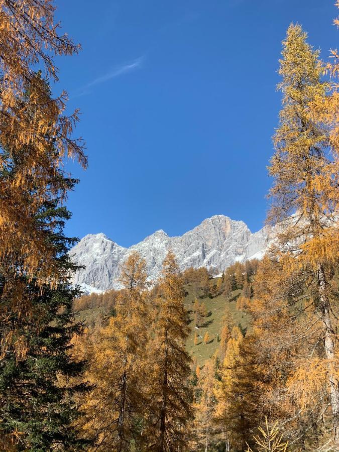 Aparthotel Das Hochkoenig Ramsau am Dachstein Eksteriør billede